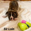 Sir Loin