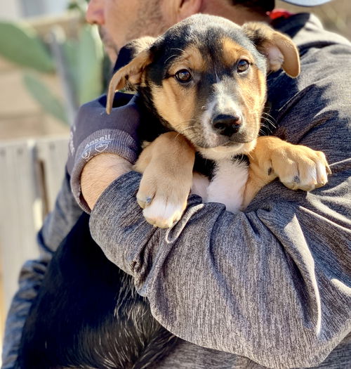 Cypress’ Pups - Juniper