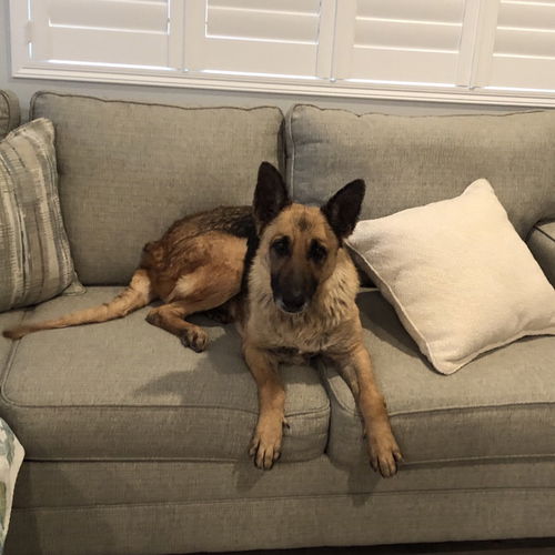 Lulu