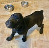 Brutus