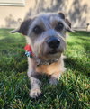 Roxy