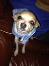 Pixie