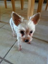 Spike