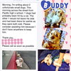 Buddy