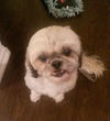 Lucy