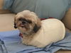 Lucy