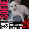Sofie