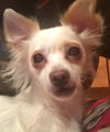 Pixie