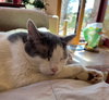 Clark - Photo 4
