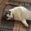 Clark - Photo 3
