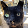 Yakko - Photo 2