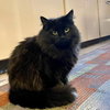 Leela - Photo 3