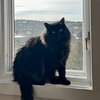 Leela - Photo 4
