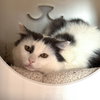 Elixir - Photo 3