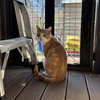 Twinkie Pie - Photo 2