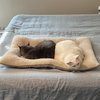 Monkey (and Ducky) - Photo 4