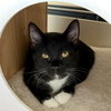 Atticus - Photo 1