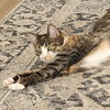 Izabella [and Simba] - Photo 2