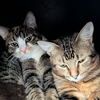 Izabella [and Simba] - Photo 3