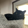 Filbert - Photo 2