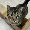 Arlo - Photo 1