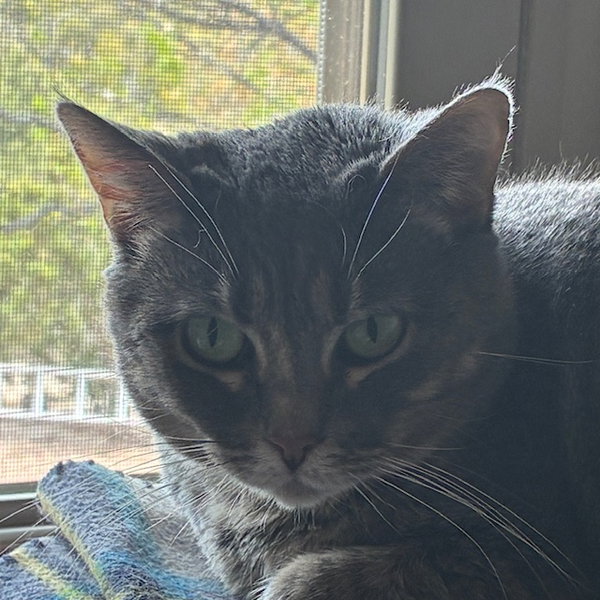 Freya