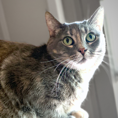 Photo 3 of Freya