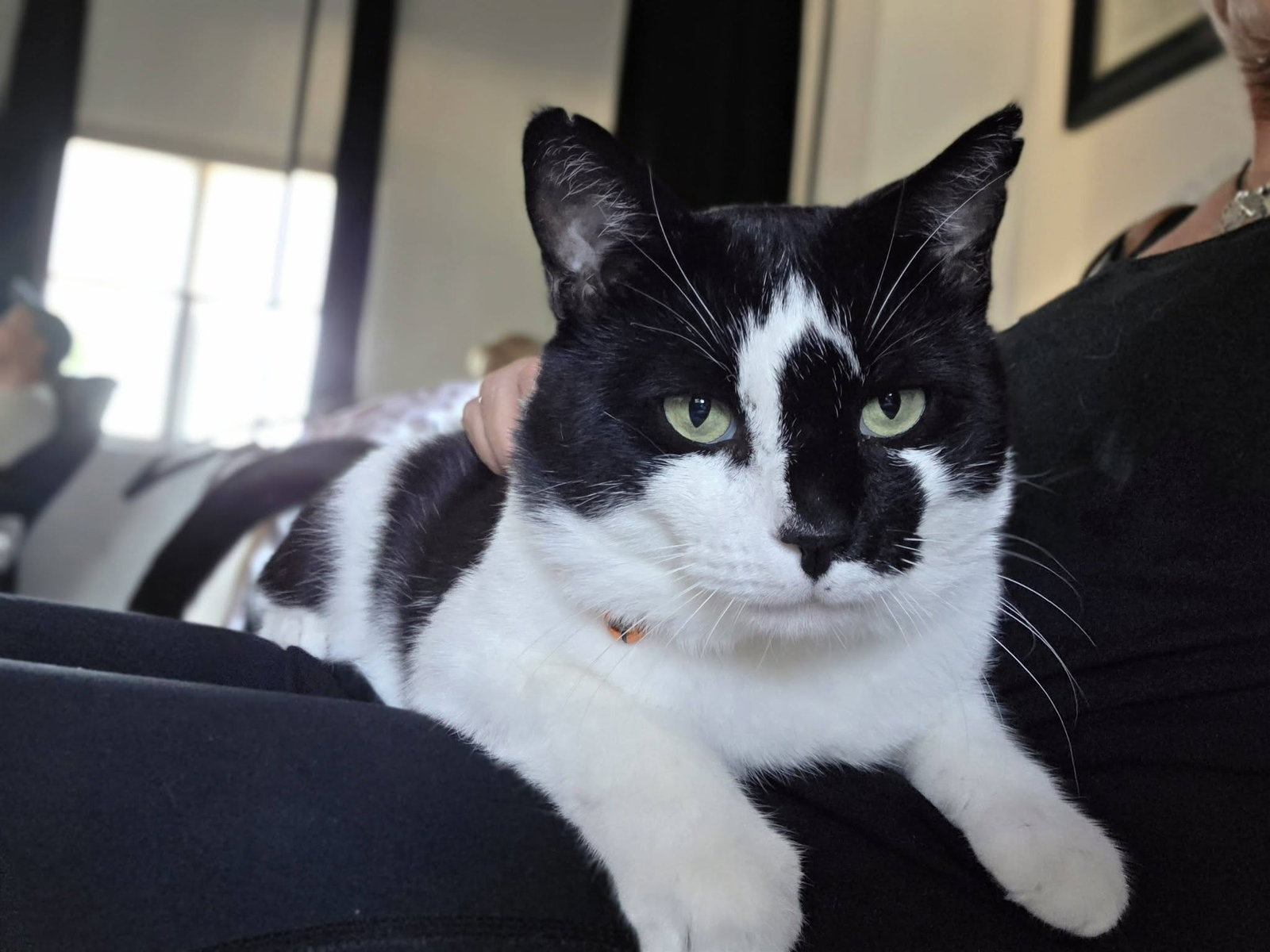 Rorschach, photo 2