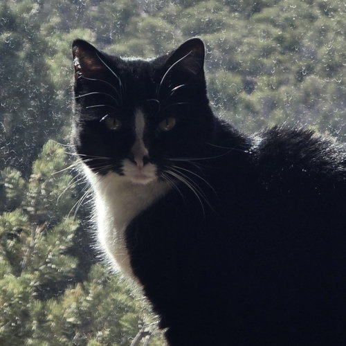 Lucille photo 3