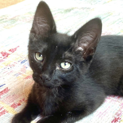 Photo 4 of Grim