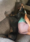 Daisy  -  Bonded With Norman  -  So Ca - Photo 6
