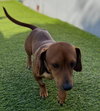Linus  -  So Ca - Photo 1