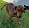 Linus  -  So Ca - Photo 2