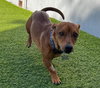 Linus  -  So Ca - Photo 3