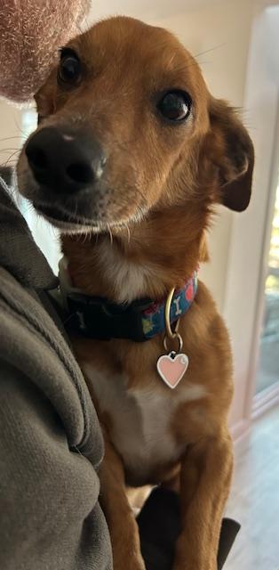 Coco - So Ca — thumbnail 6