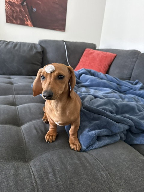 Maddie San Diego photo 2