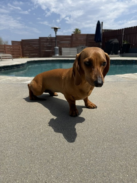Maddie San Diego photo 3