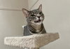 Merry - Photo 6