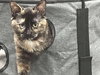 Snugglekins - Photo 2