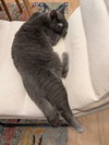 Raisin - Photo 2