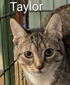 Taylor - Photo 2