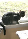 Fae - Photo 1