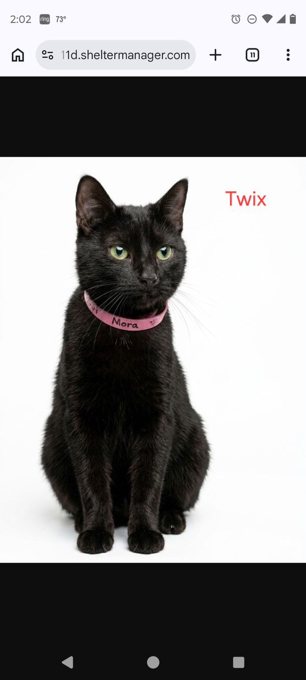 Mama Trix