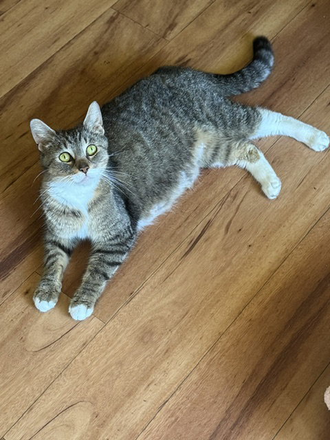 Daisy photo 3