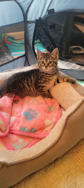 Mable photo 2