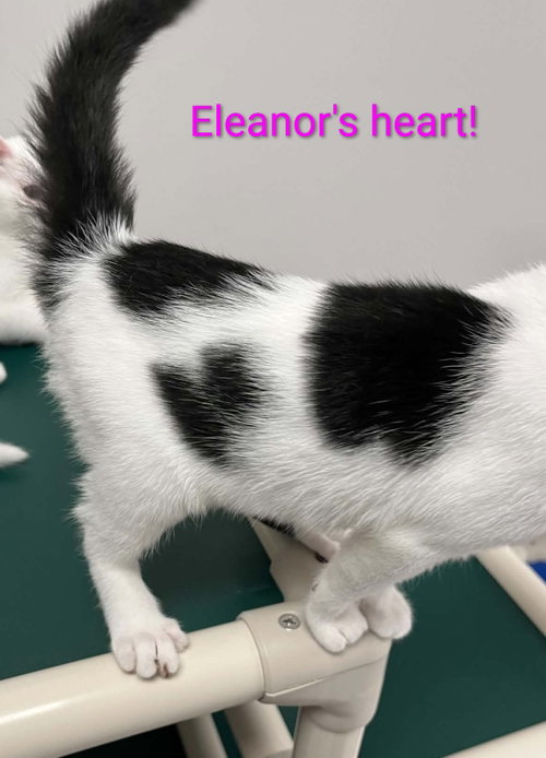 Photo 4 of Eleanor