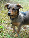 Indy -girl - Photo 5
