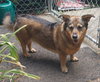 Indy -girl - Photo 7