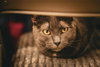 TEENY - Photo 1