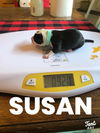 Susan